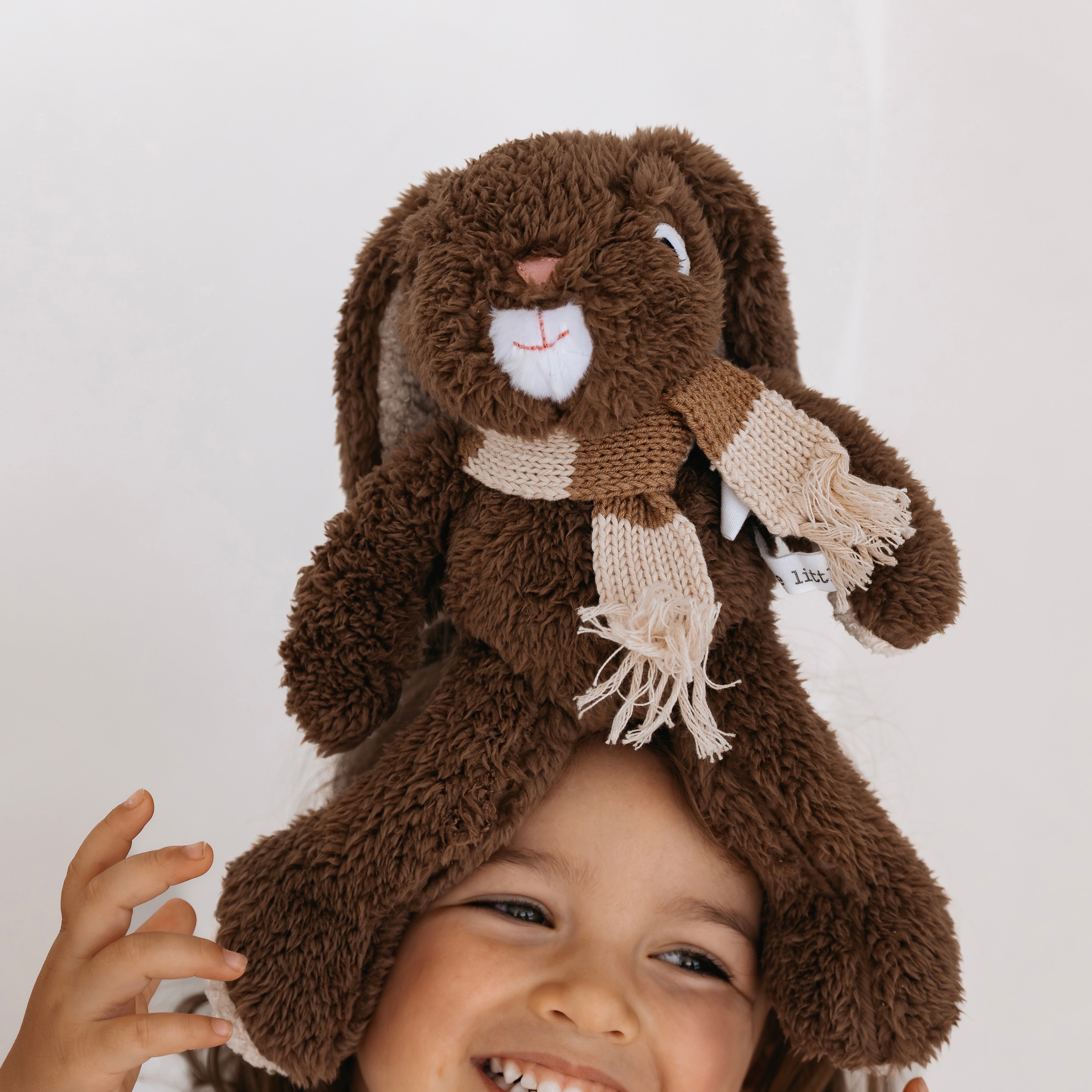 frankie rabbit- medium – and the little dog laughed